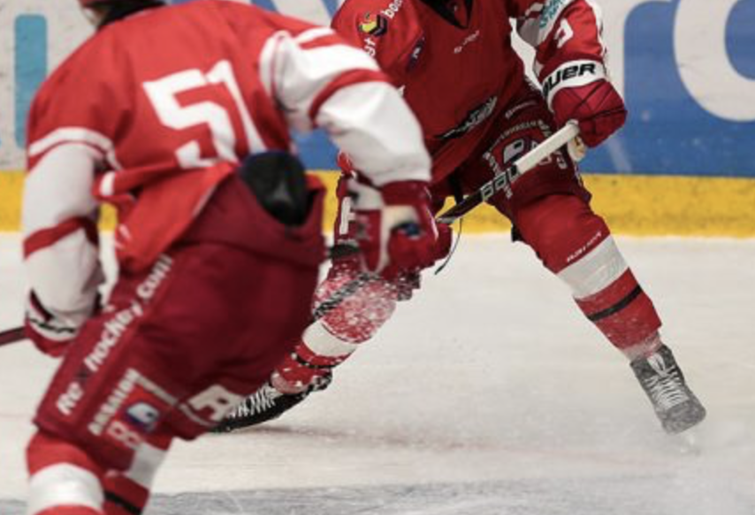 Bulls med arena-sponsor | hockeytinget.dk